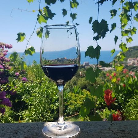 Vila Pogled Petrovac Exterior photo